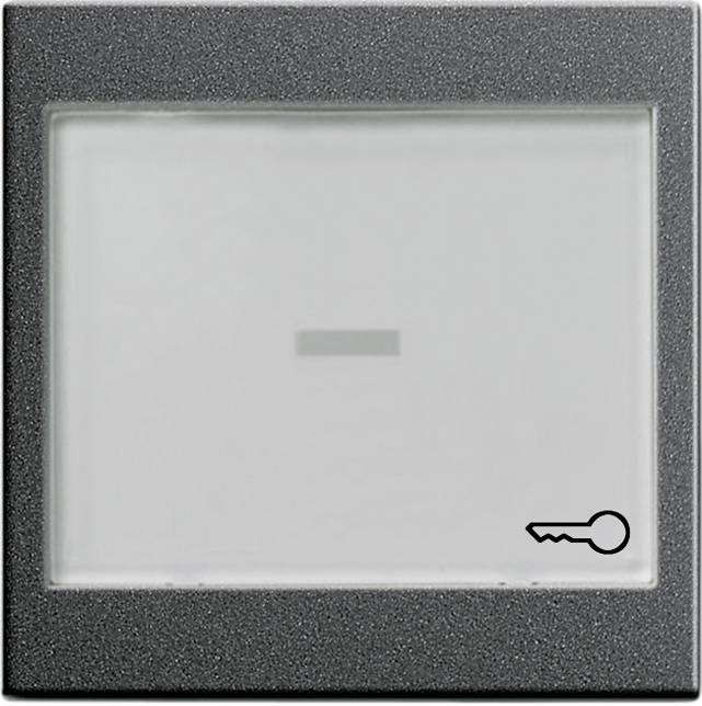 En væglampe-kontakt med et lille nøglesymbol i nederste højre hjørne, som indikerer en nøgle- eller laskontrol.