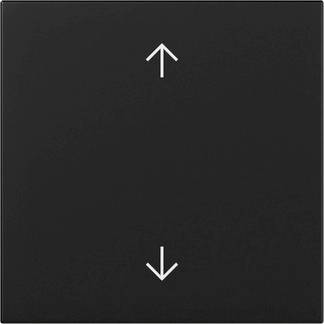GIRA Vippe 3616005 1 stk