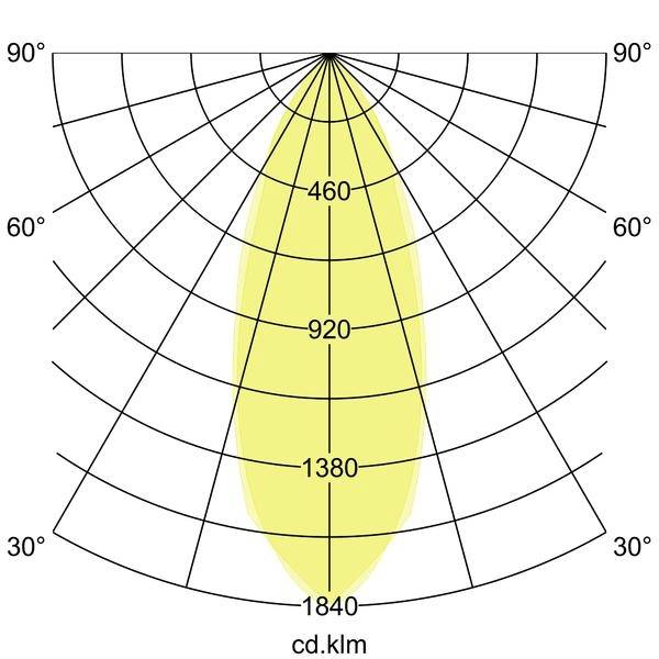 Polarlyslysfordelingdiagram, der viser en smal, symmetrisk stråle; intensitet mærket 460, 920, 1380, 1840 cd/klm på tværs af 30°-90° vinkler.