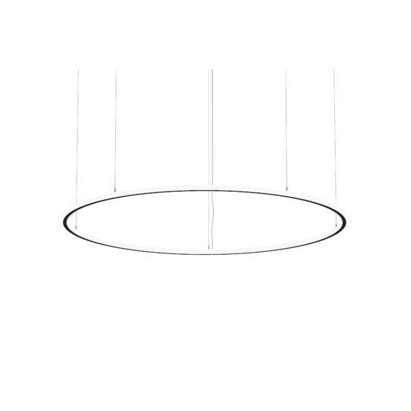 Minimalistisk hængende oval ringlygte eller pendelarmatur på hvid baggrund.