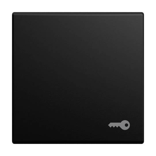 Busch-Jaeger Antracit 2CKA001731A4049 1 stk-0