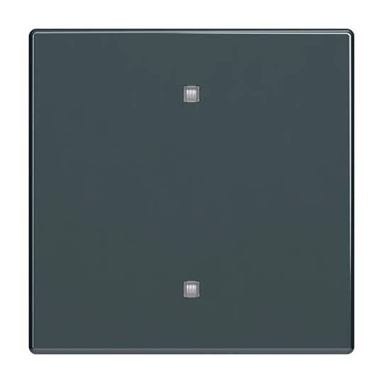 Busch-Jaeger Antracit 2CKA001751A3261 1 stk-0