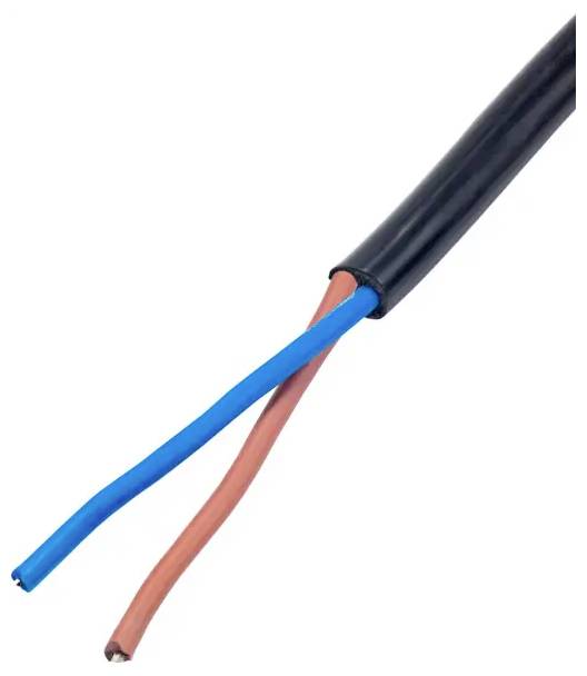 Tætbillede af et sort kabel med to blottede ledninger, en blå og en brun, der strækker sig diagonalt på en hvid baggrund.