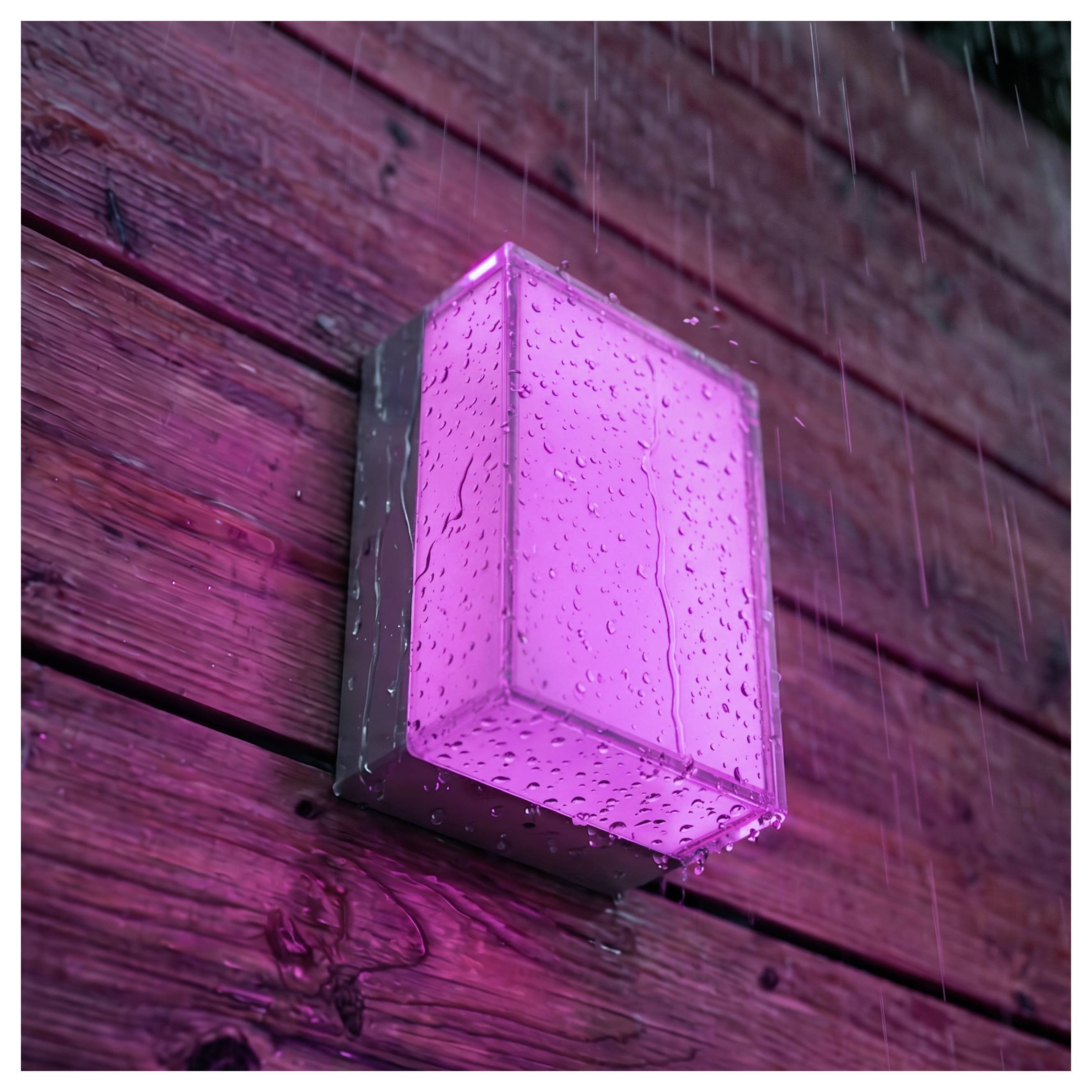 Pink oplyst udendørs væglampe på en træ væg, med regndråber, der falder omkring den.