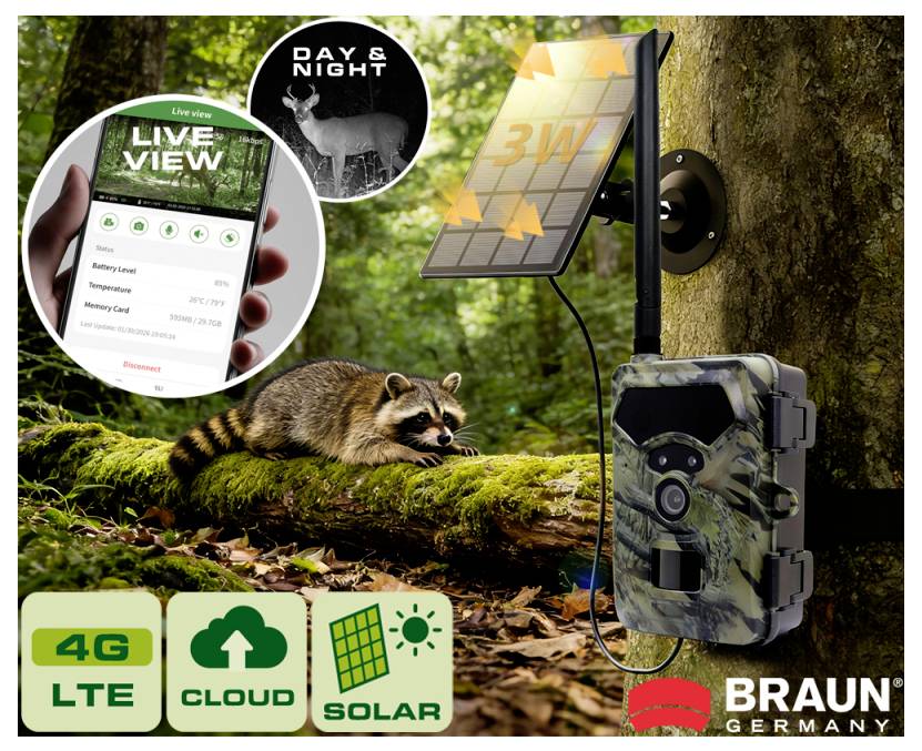 Kamufleret Braun sti-kamera med solpanel på et træ i en skov, som viser live-visning og nattesynsfunktioner til dyrelivsovervågning.