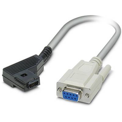 Et grå-sort computer-forbindelseskabel med en DB9-stik og en RJ-12-stik.