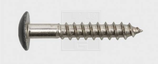 SWG 211535420  Facadeskrue 5.5 mm 35 mm T-profil    Rustfrit stål A4 100 stk