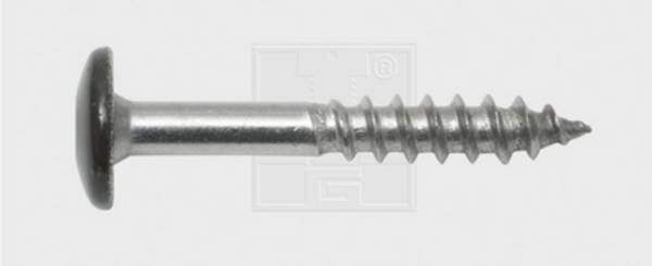 SWG 211535520  Facadeskrue 5.5 mm 35 mm T-profil    Rustfrit stål A4 100 stk