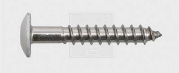 SWG 211545620  Facadeskrue 5.5 mm 45 mm T-profil    Rustfrit stål A4 100 stk