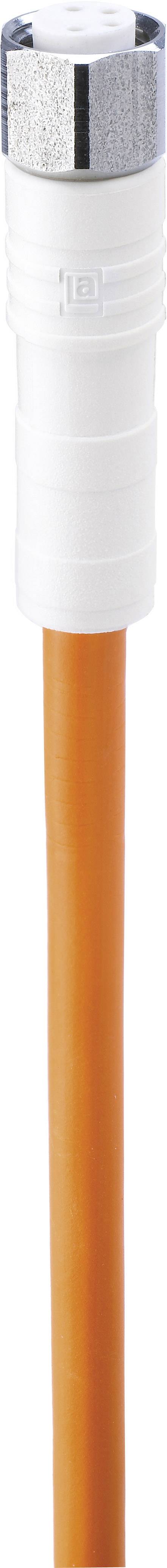 Belden 934729001-10 Sensor-, aktuator-stik, M8 Tilslutning, lige 2.00 m Pol-tal (RJ): 3 10 stk
