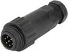 Weipu 814056 Rundstik Stik, lige Samlet poltal: 6 + PE Serie (rundstikforbindelse): WA 1 stk