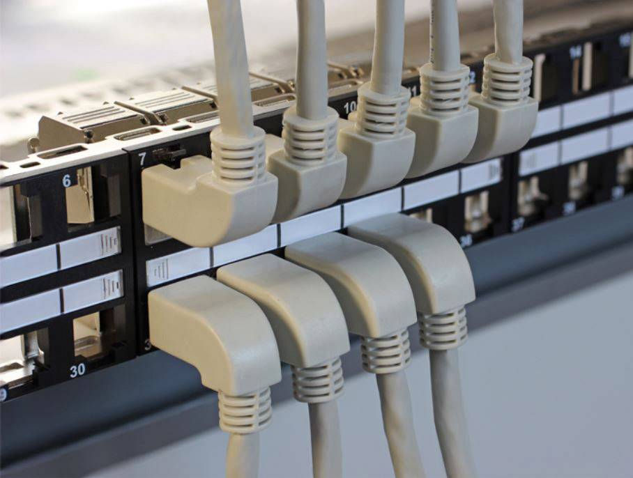 Flere Ethernet-kabler er sat i en netværksswitch, hvilket indikerer en kompleks IT-infrastruktur.