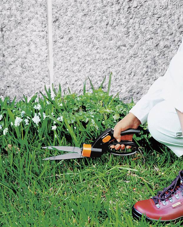 En person klipper græs langs kanten af et blomsterbed med en havesaks. I baggrunden ses en stenmur.