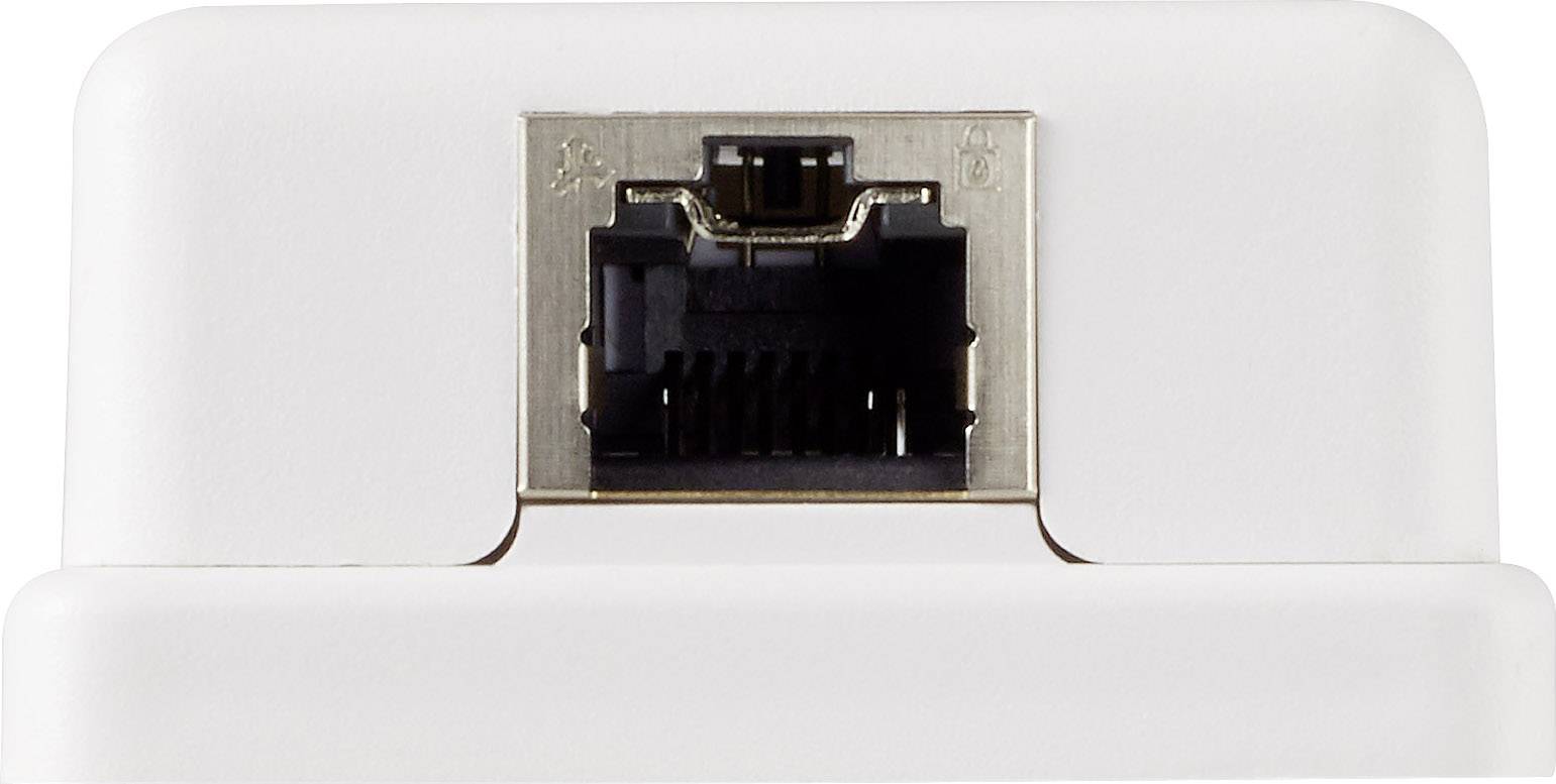 Nærbillede af en Ethernet-forbindelse på hvid baggrund, som viser stikket og dets metalomramning.