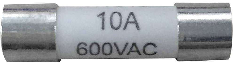 Sikring med påskriften '10A 600VAC', cylinderformet, sølvfarvede endekapper.