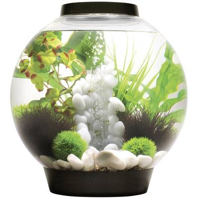 Oase 72005 biOrb CLASSIC 30 LED schwarz Akvarium 30 l med LED-belysning