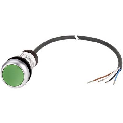 Grøn trykknap med tilsluttet kabel. Bruges til styring af elektriske apparater.