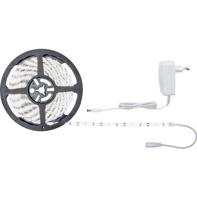 En oprullet LED-lyskæde med en strømforsyning, klar til at tilslutte. Perfekt til dekorativ belysning.