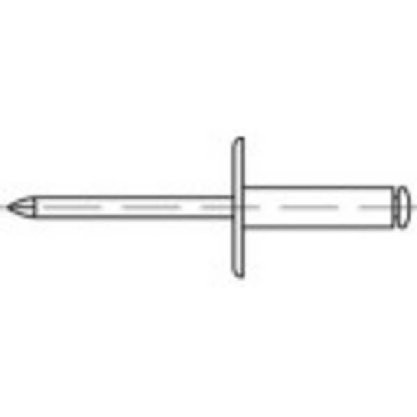 TOOLCRAFT 160163 Åben blindnitte (Ø x L) 5 mm x 30 mm Aluminium Stål 100 stk