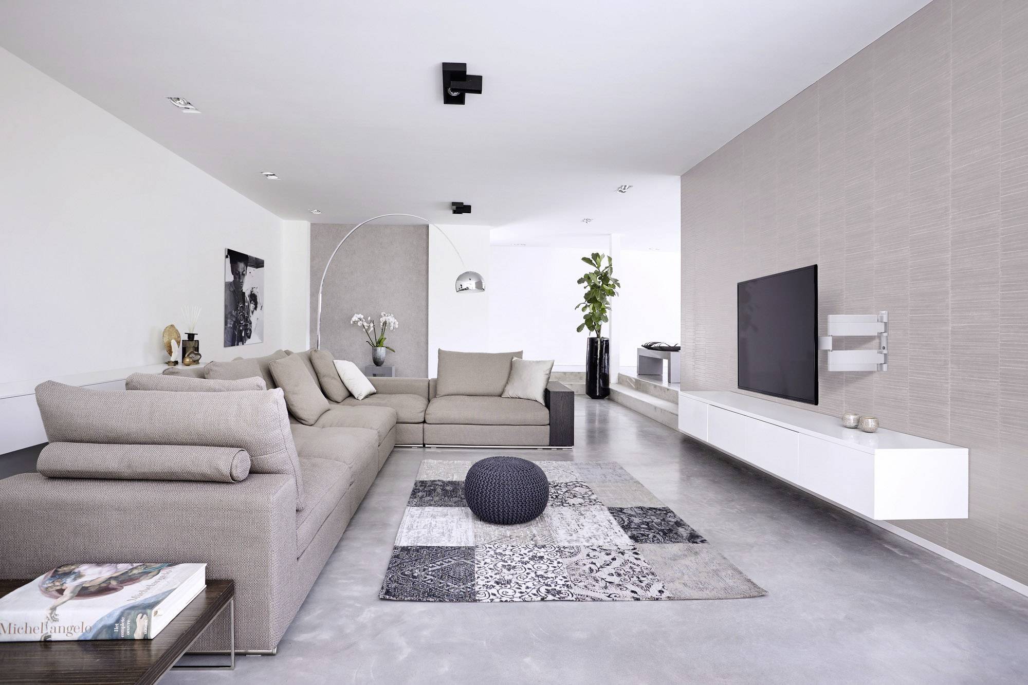 Moderne stue med beige sofa, mønstret tæppe og fladskærms-tv på væggen; planter i baggrunden.