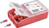 TRU COMPONENTS TC-6646608 Klemmeforbindelsesstykker-sortiment 0.50 mm² - 1.50 mm² Rød 140 stk