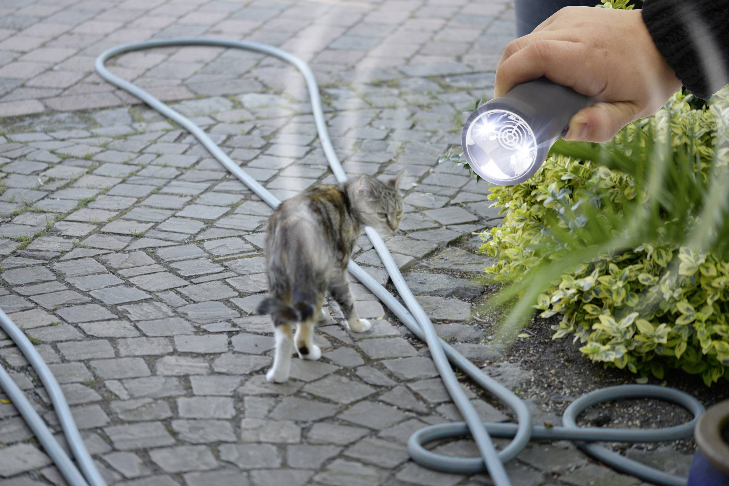 Gardigo Animal Trainer Dyreafskrækker Funktionstype Ultralyd, Blitzlys 1 stk-2