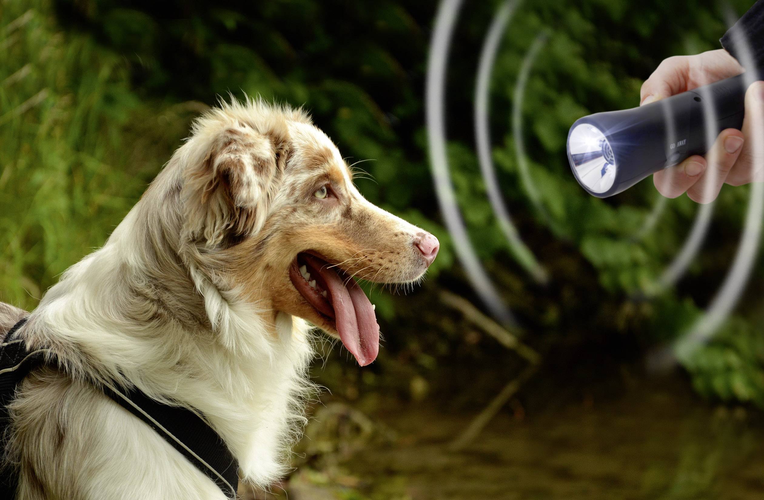 Gardigo Animal Trainer Dyreafskrækker Funktionstype Ultralyd, Blitzlys 1 stk-3