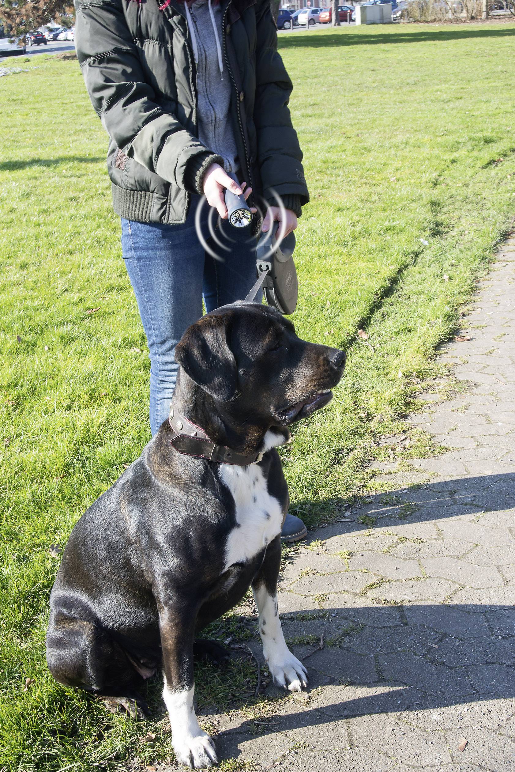 Gardigo Animal Trainer Dyreafskrækker Funktionstype Ultralyd, Blitzlys 1 stk-4