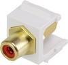 Renkforce RF-KS-RCAFR Cinch-indbygningsmodul Keystone 1 stk