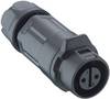 Lutronic 2340 08 T06 CB A Rundstikforbinder Kobling, lige Samlet poltal: 8 1 stk