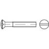 TOOLCRAFT TO-5358480 Undersænkede linseskruer M10 40 mm Kærv DIN 964 Rustfrit stål A2 50 stk