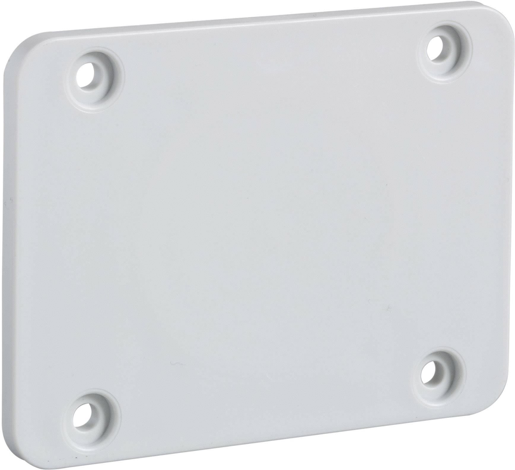 Schneider Electric 13135 Tilbehør til fordelerskab Plate Polymer Gråhvid (RAL 7035) 1 stk