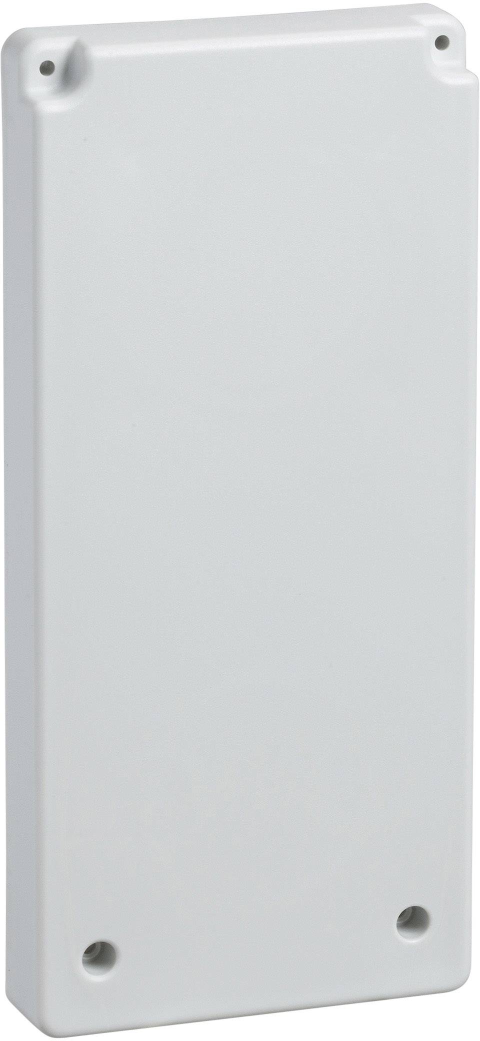 Schneider Electric 13143 Tilbehør til fordelerskab Plate Polymer Gråhvid (RAL 7035) 1 stk