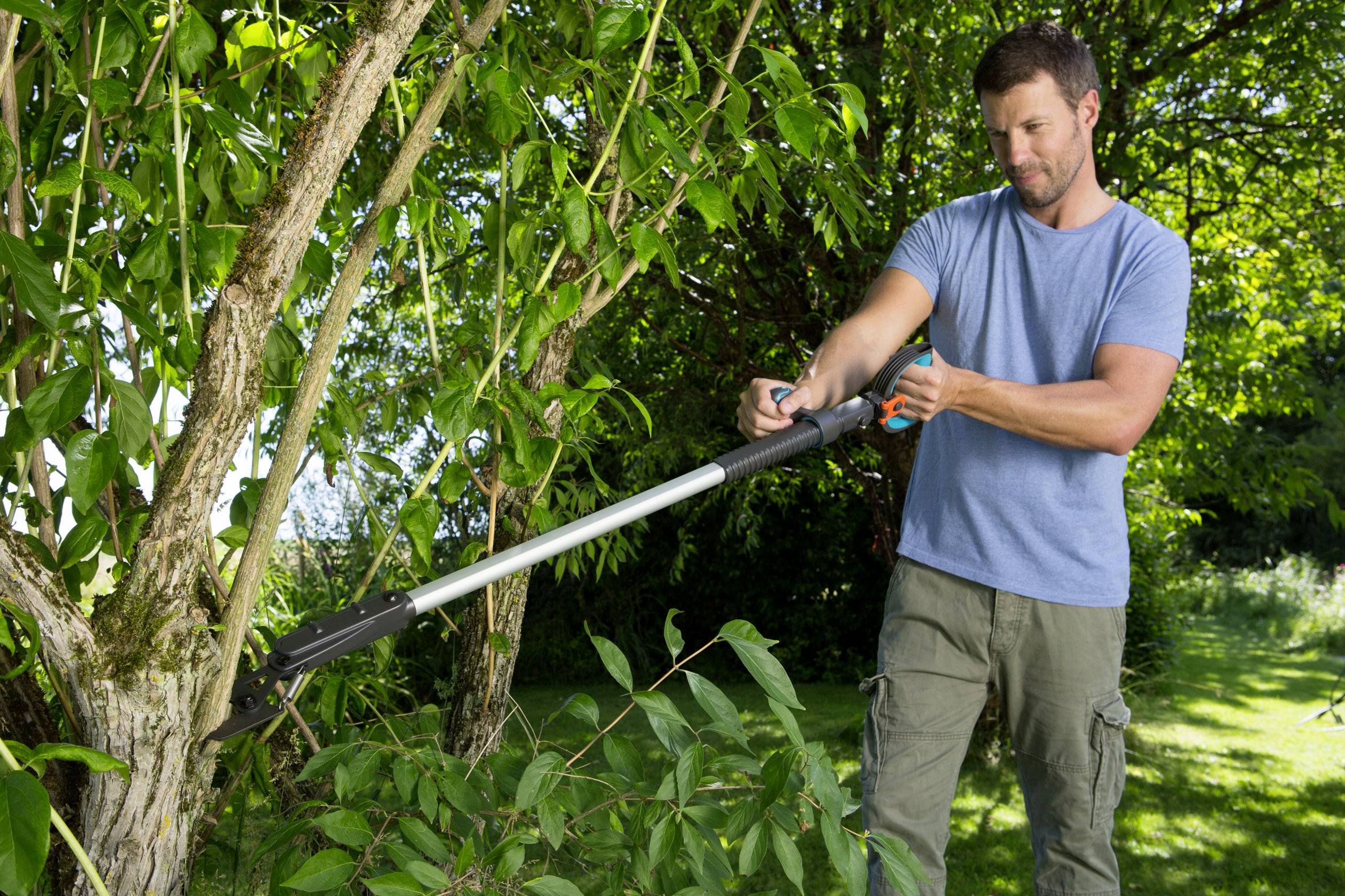 En mand klipper grene af et træ med en beskærersaks. Han har en blå T-shirt på og står i en grøn have.