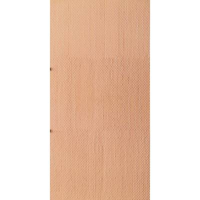 H0, TT Auhagen 52413 Plast-plader (L x B) 200 mm x 100 mm Plastmodel