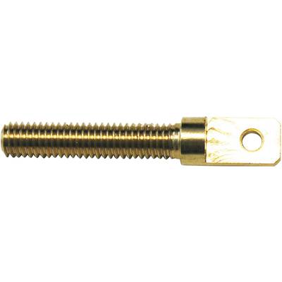 Modelcraft 11589/RM-30 Messing Øjebolt Med udvendigt gevind M3 23 mm 4 stk