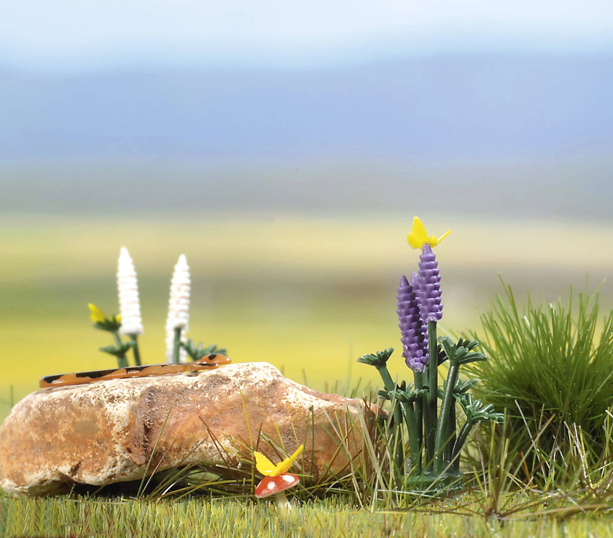 Et felt med græs, blomster og svampe, en sten i forgrunden. Farvestrålende sommerfugle flyver hen over planterne.