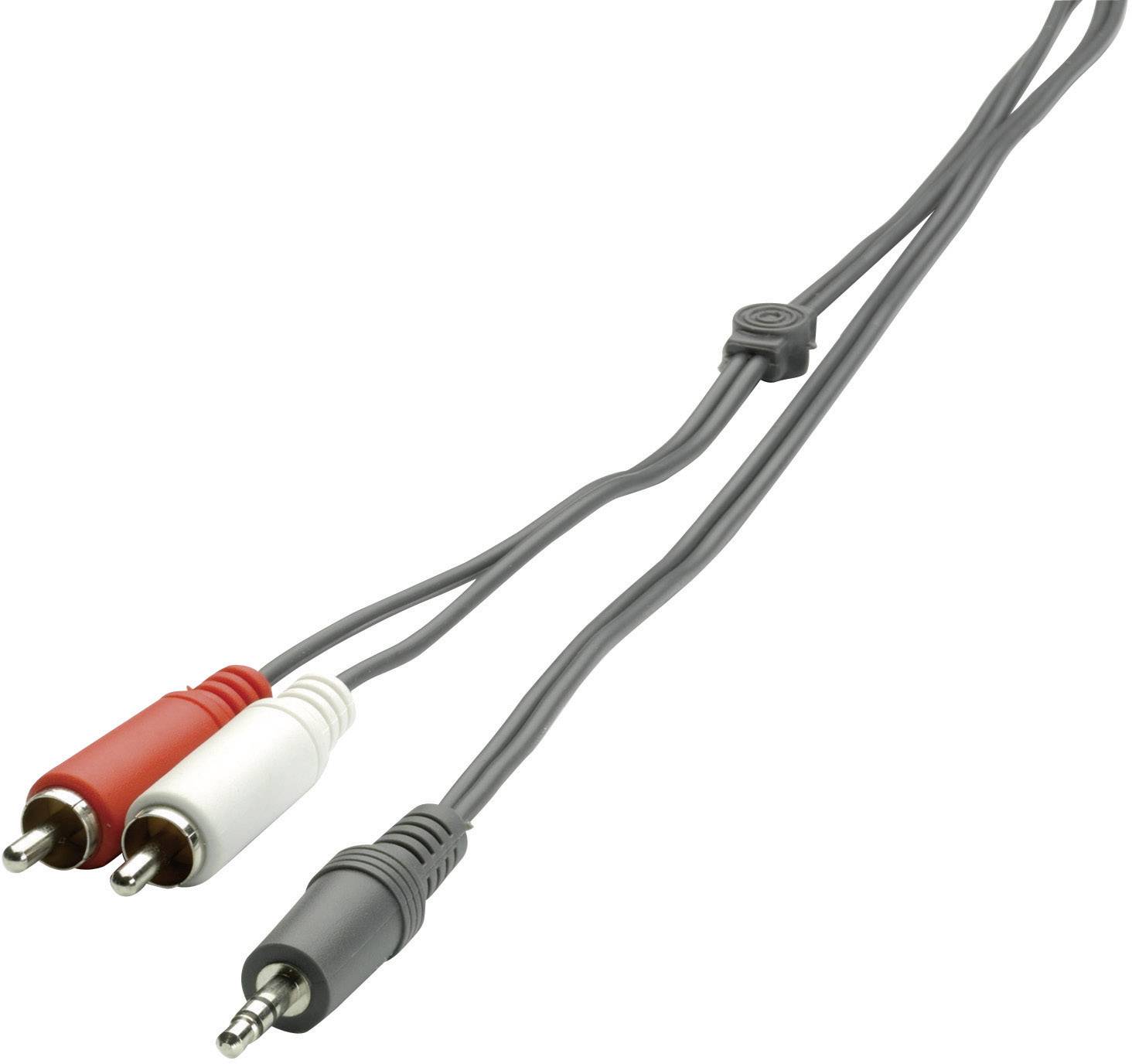 SpeaKa Professional SP-1300360 Phono / Jack Audio Tilslutningskabel [2x Cinch-stik - 1x Jackstik 3,5 mm] 2.00 m Sort