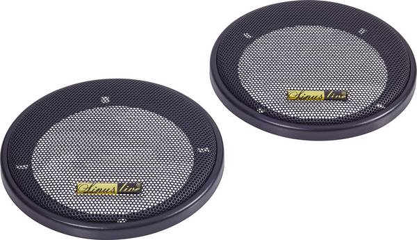 Speaker grille for 10 iL