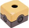 Pizzato Elettrica ES 31001 ES 31001 Tomt hus 1 installationspunkt (L x B x H) 72 x 80 x 56 mm Sort, Gul 1 stk