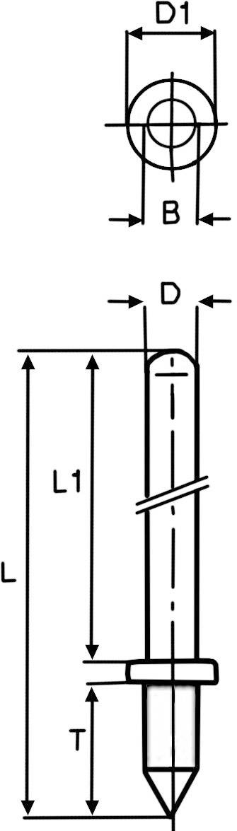 Teknisk tegning af en skrue med dimensioner. Viser top- og sideview med betegnelser: D1, B, L, L1, T.