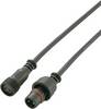 TRU COMPONENTS 739718 Rundstik konfektioneret Stik, lige, Tilslutning, lige Samlet poltal: 2 1 stk