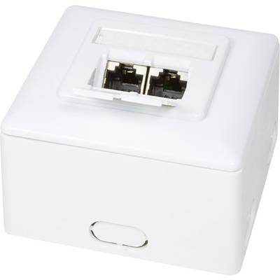 LogiLink NP0039A Netværksstikdåse Overflademonteret CAT 6 2 porte Hvid