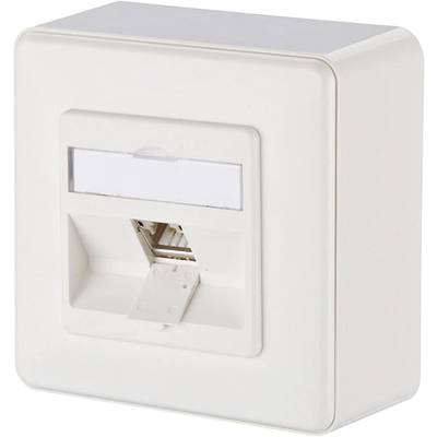 Et hvidt vægstik til et LAN-kabel med et cover, der kan åbnes nedad og give adgang til stikforbindelsen.