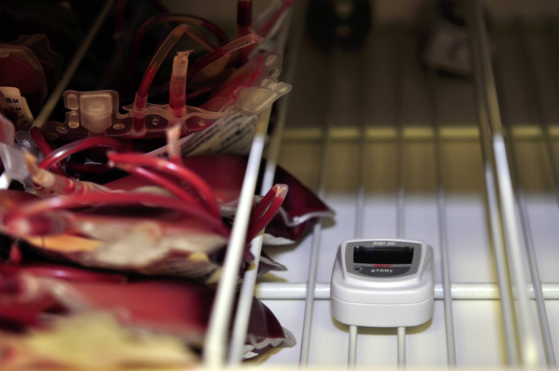 Blutkonserven lagern in einem Kühlschrank neben einem digitalen Thermometer, das die Temperatur überwacht, um die Konservierung zu gewährleisten.