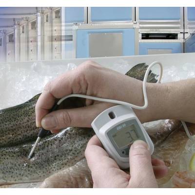 Eine Hand misst mit einem digitalen Thermometer die Temperatur von Fischen auf Eis. Das Display zeigt '3,7' Grad Celsius.