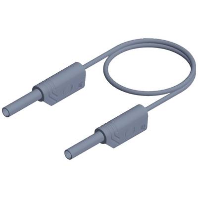 Illustration eines Kabels mit zwei Steckerenden. Beide Stecker sind identisch und durch ein kurzes, flexibles Kabel verbunden.
