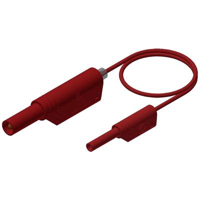 Rotes, elektrisches Kabel mit zwei unterschiedlich großen Steckern, die sich für die Verbindung von Geräten oder Komponenten eignen.