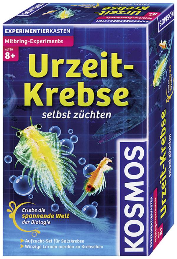 Kosmos 65787, Augmented Reality, 8 Jahr(e), Mehrfarbig