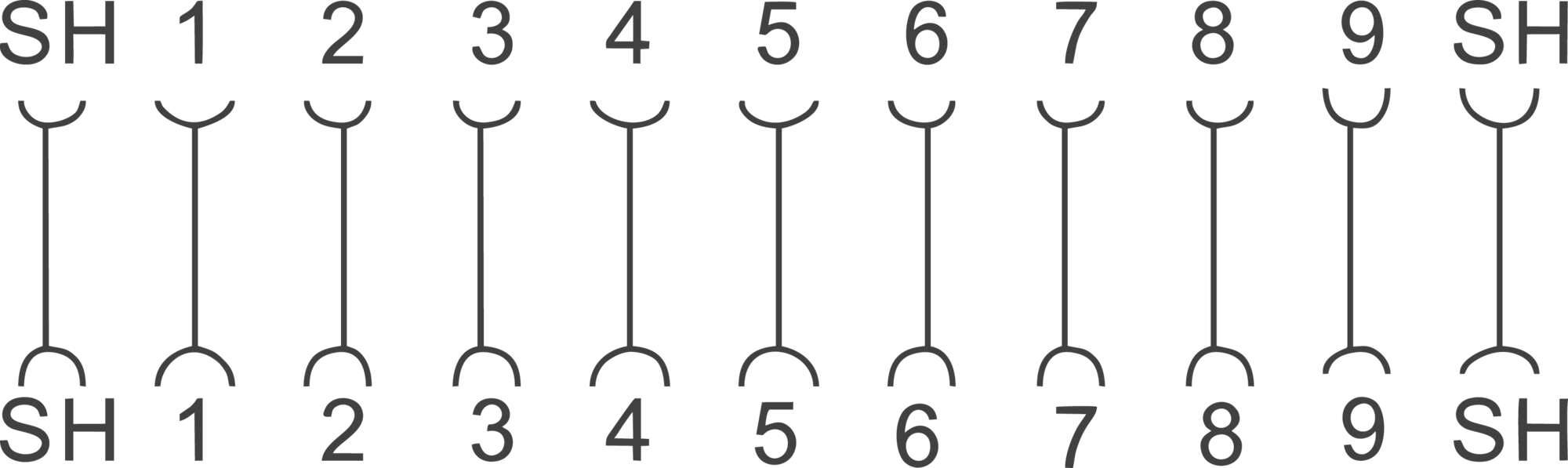 'SH' verbunden mit einer Reihe nummerierter Linien von 1 bis 9 zeigt eine DNA-Sequenz oder Strukturdiagramm.